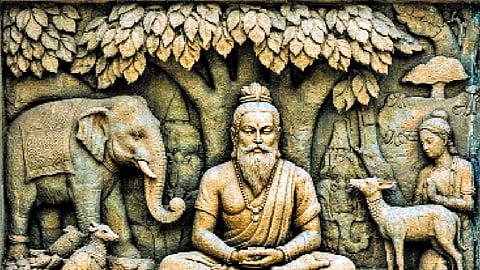 Ancient Indian Environmental Consciousness and the Path to Forest Revival