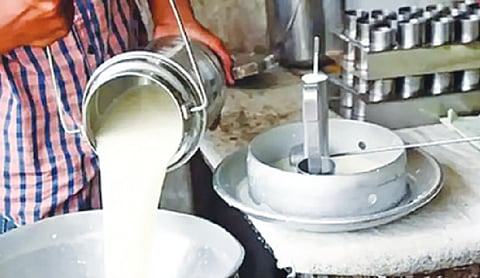 Andhra milk contamination: Death toll rises to 13, seven undergoing treatment