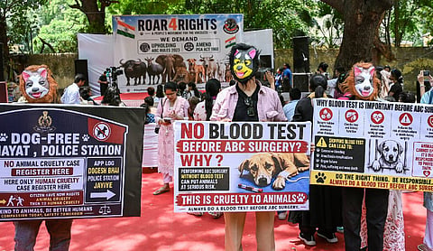 Animal Activists protest at Jantar Mantar against relocation of community dogs and Animal cruelty