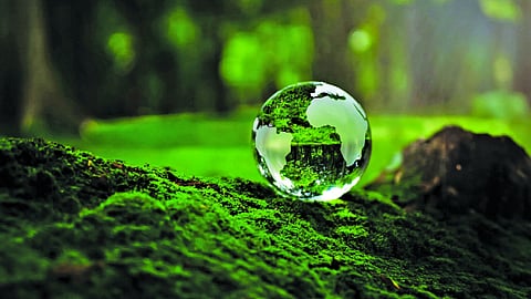 Balancing growth and green goals: India charts next climate milestone