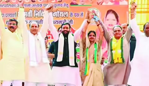 BJP sweeps Haryana municipal corporation polls, tastes victory in Hooda bastion