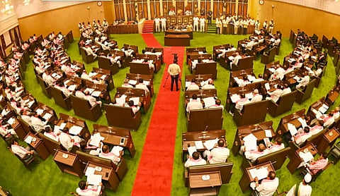 Telangana Assembly I PTI image
