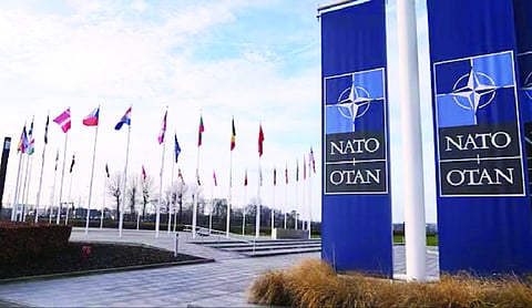 Canadian intern arrested for spying inside NATO
