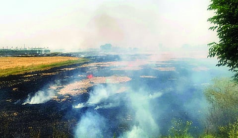 CAQM assesses anti-stubble burning preparedness of States