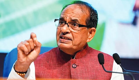 Centre to bring new seed, pesticide laws: Chouhan