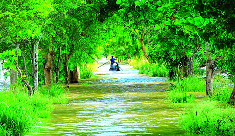 Centre to release Rs 2,117 cr SDRF to 7 flood-hit States