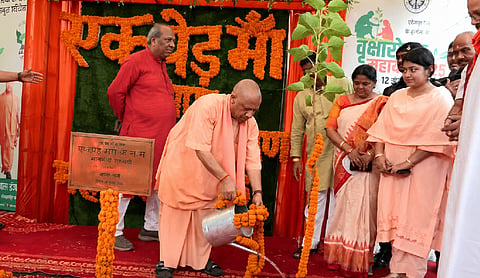 CM Yogi launches 35 crore sapling drive, calls it a tribute to mother earth
