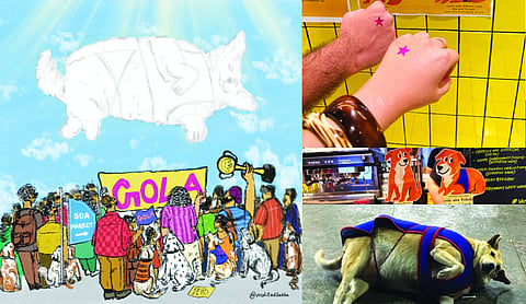 Delhi goes to the polls, Paws First