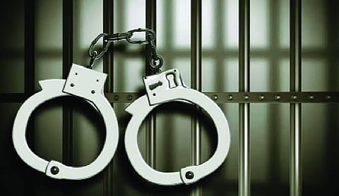 Delhi Police foil fake robbery plot, 2 held