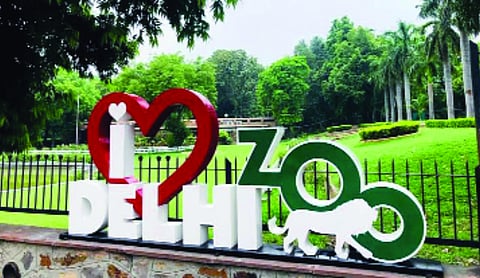 Delhi zoo invites citizens for weekly bird-monitoring, biodiversity drives