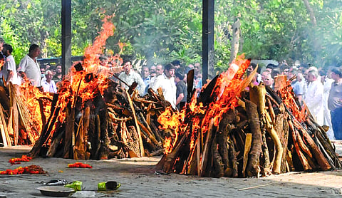 Eight pyres, one broken family