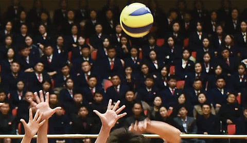 FIVB takes charge of VFI with steering committee