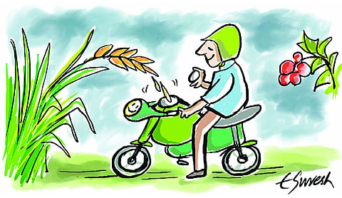 Flex-fuel: The future of India’s ethanol push