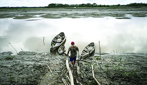 Global warming is causing rivers to slowly lose oxygen, threatening fish and other lives: Study
