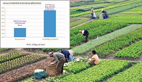 Government ensures record availability of fertilisers for farmers in 2024-25
