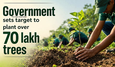 Government sets target to plant over 70 lakh trees