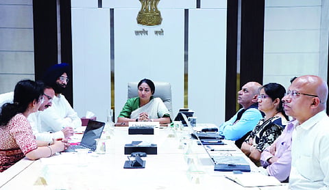 Government targets 70 lakh saplings in mega green drive