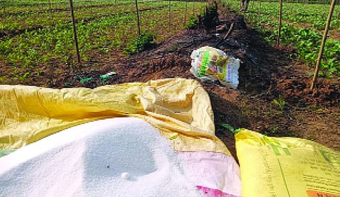 Government to import 17 lakh tonnes of urea