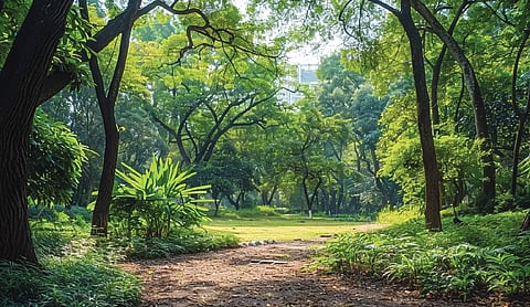 Govt plan ‘Qurani Van’ as part of themed-forest initiative
