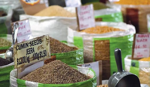 Gujarat: Spice racket busted in Mehsana, 5 held