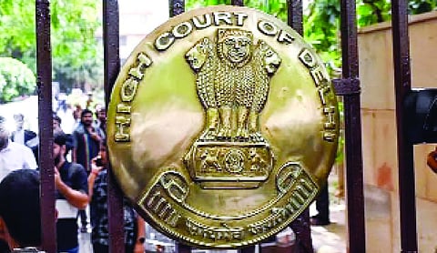 HC seeks report from Delhi Govt on steps taken to remove stray dogs by July 31