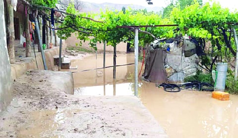Heavy rains, floods kill 22 in Afghanistan