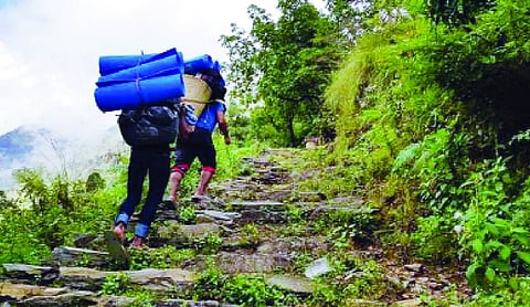 Himachal’s Kangra District Bans Trekking Above 3,000m