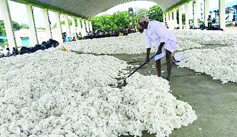 Import duty cut to improve cotton supply: Textile Ministry