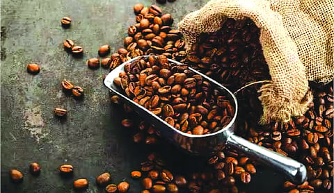India’s coffee exports jump 27% in Jan-Apr