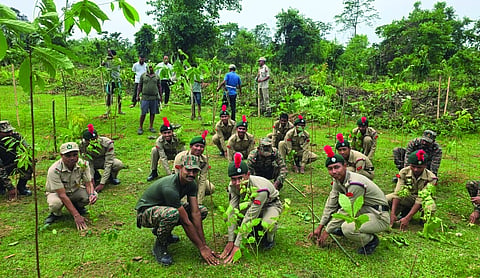 Indian Army, forest department start green drive before World Environment Day in Assam