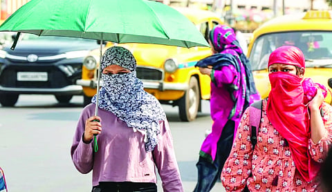 Indian households highly vulnerable to El Niño-driven price shocks: S&P