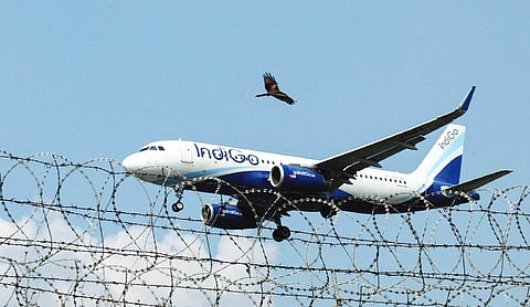 IndiGo assures DGCA of full compliance with pilot duty norms