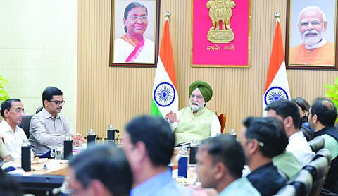 LG orders audit of parks in Capital
