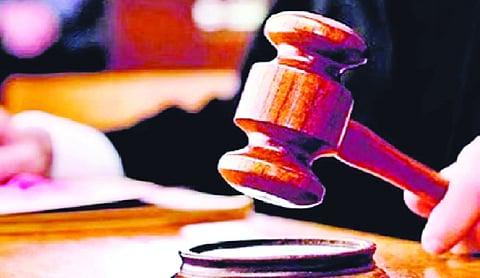 MACT awards Rs 1.56 crore to kin of Noida road death victim