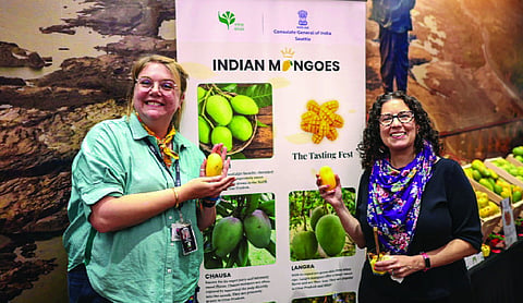 Mango hits US as Seattle consulate imports Indian varieties