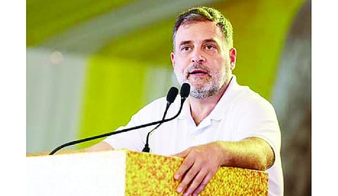 MPSC movement now a satyagraha, says Rahul after launch of portal
