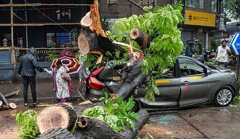 Mumbai Monsoon wreaks havoc as vehicles crushed, walls collapse and trees uprooted across city
