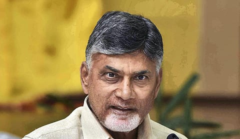 Andhra Pradesh Chief Minister N Chandrababu Naidu I PTI image