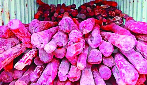 NBA disburses Rs 45 lakh to red sanders farmers