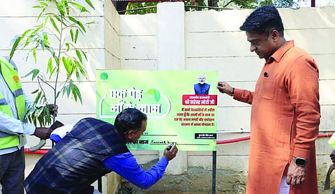 NDMC vice chairman leads plantation drive