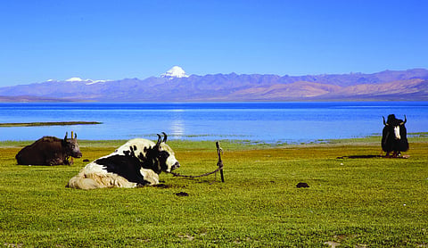 Nepal Objects to Kailash Mansarovar Yatra Route