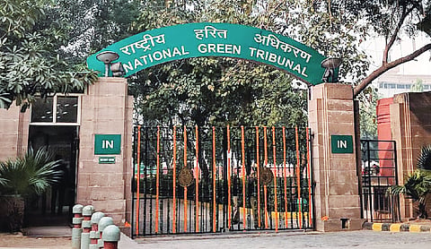NGT asks HPGCL to explore plantation at ash disposal site