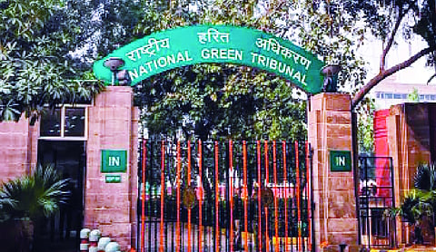 NGT restrains operation of brick kiln, stone crusher in Assam’s Nalbari