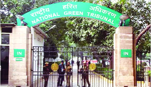 NGT seeks Govt’s response on plea against new Ganga rules