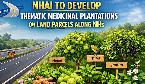 NHAI to develop thematic medicinal plantations on land parcels along NHs