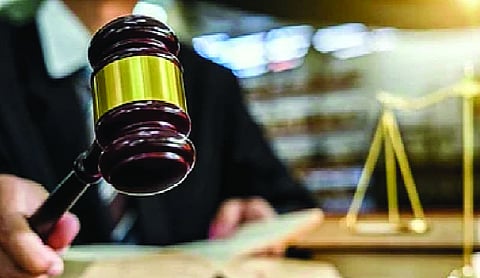 Pet dog plays crucial role in solving 2021 Mohali murder