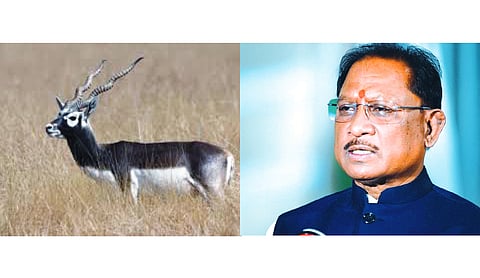 PM’s praise for blackbuck conservation matter of pride: CM Sai