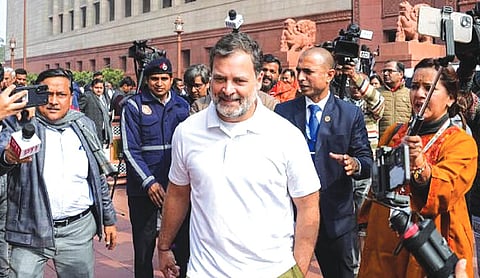 PM under pressure sold, out farmers hard work: Rahul