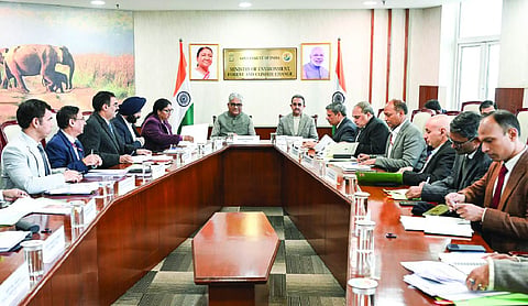 Pollution in NCR needs long-term policy, not quick fixes: Yadav