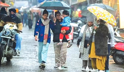 Punjab, Haryana get more than expected rain in January